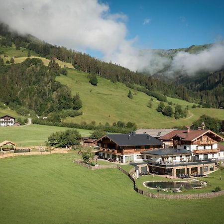 Schmiedhof Gut Apartment Гросарл Екстериор снимка